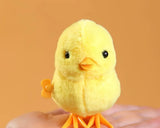 Jumping Chicks & Ducks