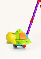 Walking Stick Turtle