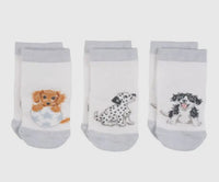 Infant Socks(box)