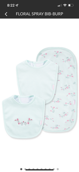 Floral Spray Bib-Burp